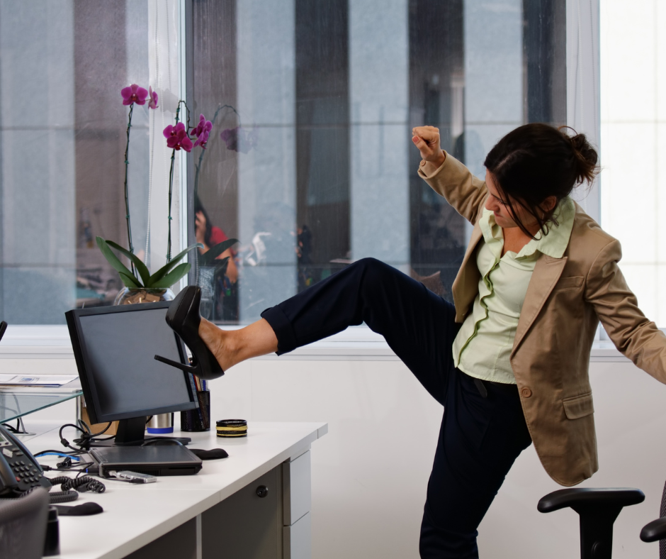 Software BUG- Tecnoinver